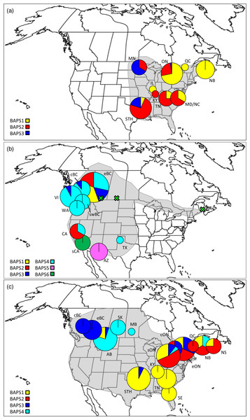 Phylogeographic structure in three North American tent caterpillar ...