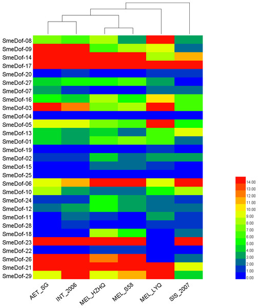 The heat map shows the expression profile of the eggplant Dof genes in six eggplants.