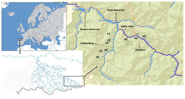 Upper Nalón River Basin.