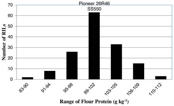 Distribution of average flour protein values for wheat recombinant inbred lines and their parents.