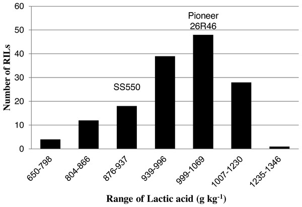 Distribution of average lactic acid SRC values for wheat recombinant inbred lines and their parents.