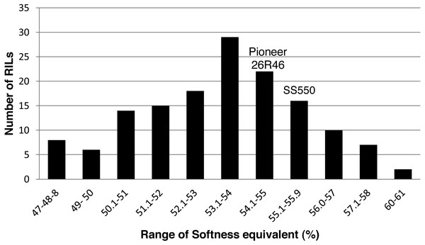 Distribution of average softness equivalent values for wheat recombinant inbred lines and their parents.