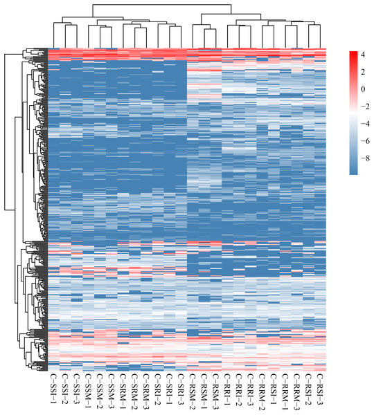 Heat map and clustering of circRNA expression profiles in different samples.