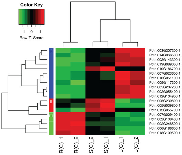 A heatmap of genes displaying tissue-differential expression without treatment.