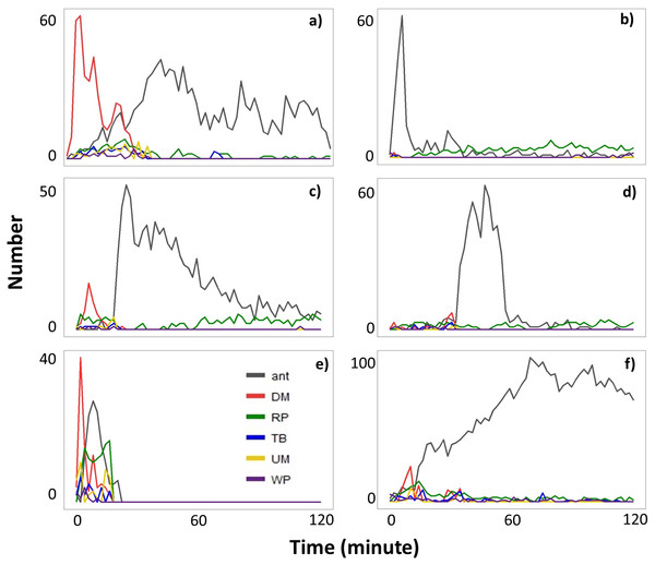 The number of ants and the number of termites performing different behavioral activities within a 15-s period every 2-min following removal of a ∼5 cm section of the mud tube in six Type II videos (A–F).