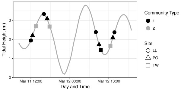 eDNA Communities by Time, Tide, and Site.