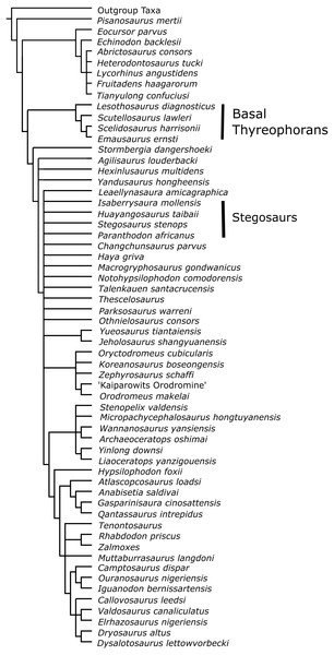 Strict consensus tree from Analysis D6; inclusion of Paranthodon, Huayangosaurus, Stegosaurus and Isaberrysaura as OTUs into the Boyd (2015) dataset.