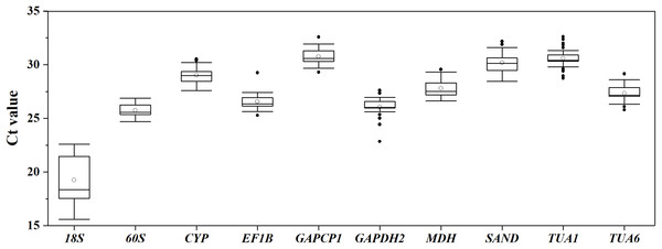 Distribution of Ct values for 10 candidate RGs across all S. chamaejasme samples.