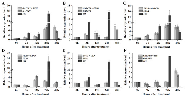 Relative expression levels of P5CS2 under different experimental conditions normalized by the most stable RG combination, the most stable gene and the most unstable gene.