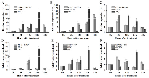 Relative expression levels of GI under different experimental conditions normalized by the most stable RG combination, the most stable gene and the most unstable gene.