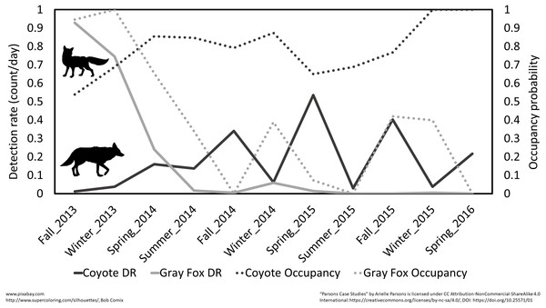 Seasonal patterns of detection rate (total count/day) and occupancy for coyote and gray fox at Prairie Ridge Ecostation, Raleigh, NC, USA.