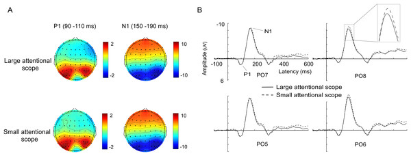 Waveforms and voltage topographies of P1 and N1 components.