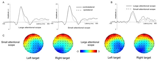 Waveforms and voltage topographies of N2pc components.