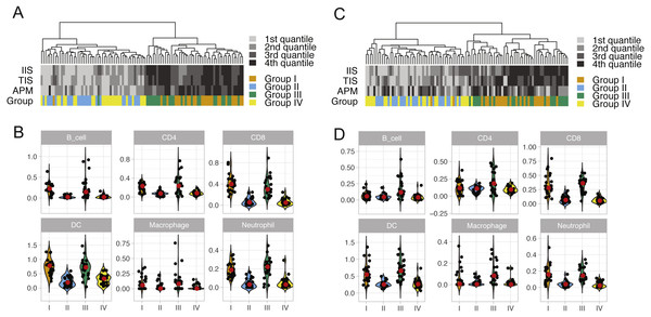 ssGSEA clustering analysis and the abundance of six immune cells in LUAD (A and B) and in LUSC (C and D) across four patient groups.