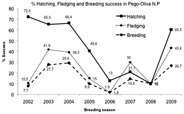 Hatching, fledgling and breeding success mean in Pego-Oliva N.P. (2002–2009).
