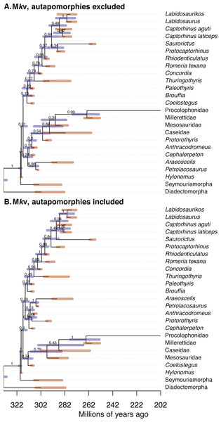 Comparison of the tip-dated phylogenies of early eureptiles inferred when excluding (A) or including (B) autapomorphies, under Mkv ascertainment bias correction.