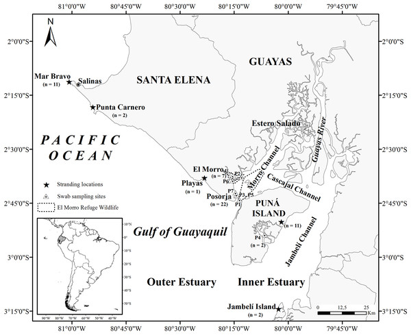 Map of the Gulf of Guayaquil showing sample locations.