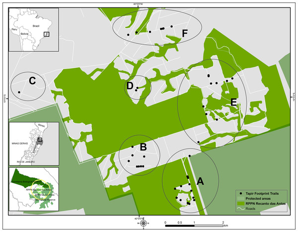Survey sites for lowland tapir footprints.