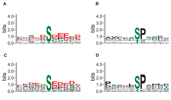 Sequence logos for phosphosites affected by DIA1 expression (GibbsCluster results).