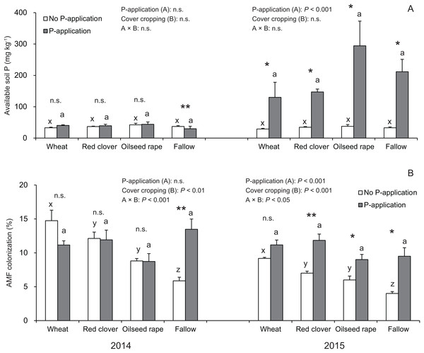 Impact of cover cropping and phosphorus (P) regime on the available soil P and root colonization of arbuscular mycorrhizal fungi (AMF) in the soybean at full bloom stage (R2) in 2014 and 2015.