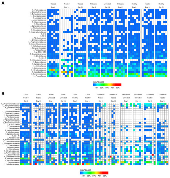 Bacterial lineages detected by 16S rRNA gene sequencing in healthy controls, and animals with ICE that did or did not receive the antibiotic/antifungal treatment.