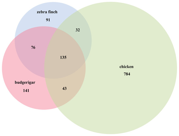 Budgerigar miRNAs compared with zebra finch and chicken in miRBase v21.