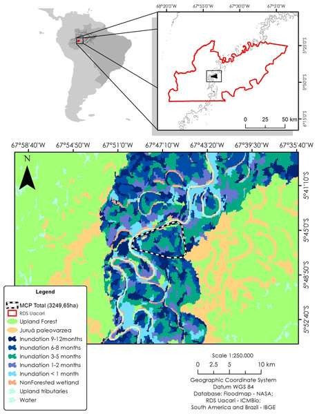 Study area in the Médio Juruá region of western Brazilian Amazonia, showing the forest and non-forest floodplain categories distinguished on the basis of ALOS ScanSAR images.