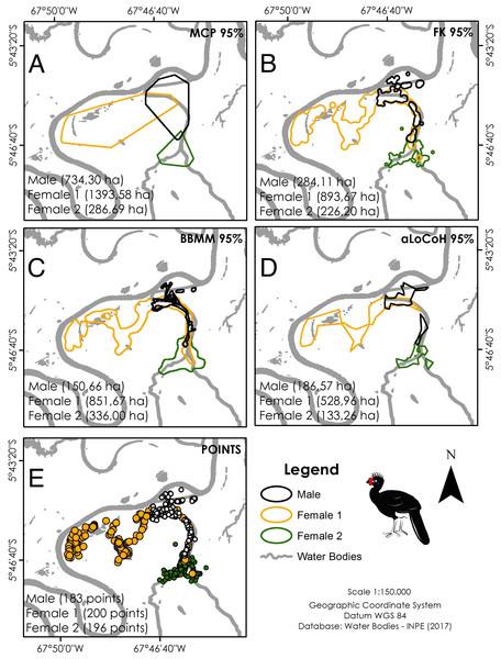 Home range size of the three monitored individuals of C. globulosa in the Médio Juruá, Amazonas, Brazil, using multiple estimators.