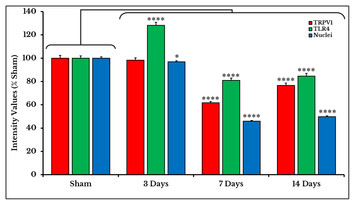 Expression profiles of TRPV1, TRPV4, TLR4 and ERK1/2 in the dorsal root ...