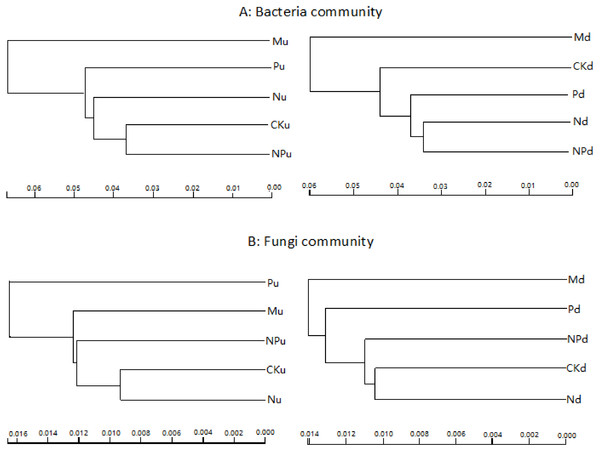 Overall structural changes of bacterial communities (A) and fungi communities (B) from sequencing data as influenced by fertilizations.