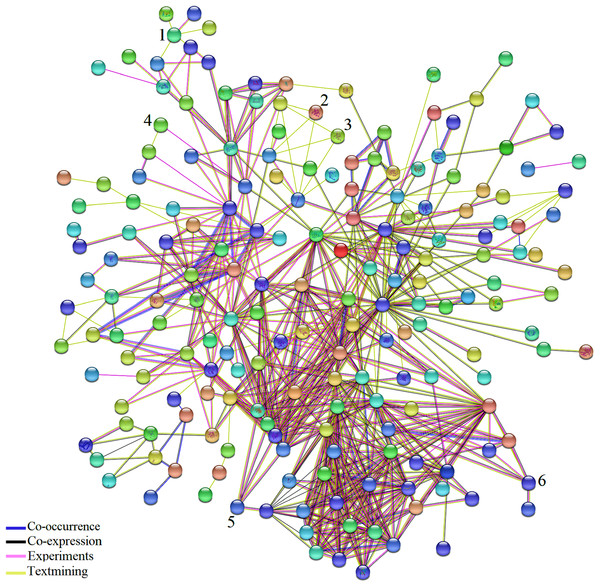 Network analysis of the DEGs identified in biotic and abiotic stresses.