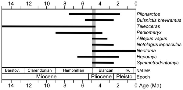 Stratigraphic ranges of selected mammals from the Gray Fossil Site in Tennessee.