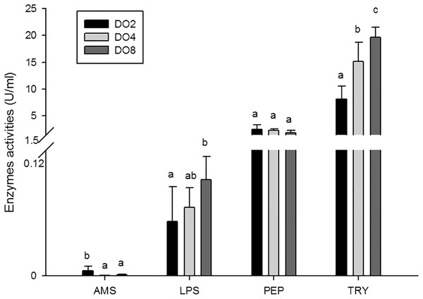 Activities of digestive enzymes in sea cucumber under different dissolved oxygen levels.