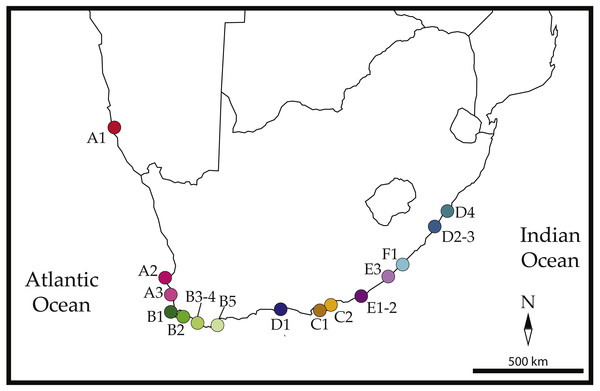 Sampled localities across southern Africa.