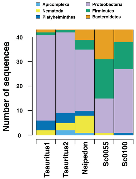 Numbers of gut microbiome phyla from two collections techniques.