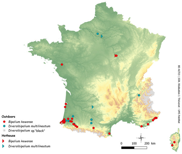 Map of Metropolitan France (including Corsica) showing records of bipaliine flatworms.