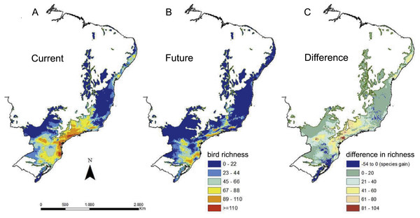 Richness of Atlantic Forest endemic birds based on ecological niche models.