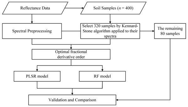 Flow chart of the study.