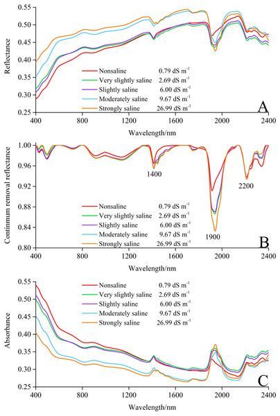 Reflectance spectra curves of soils with different salinity degrees.