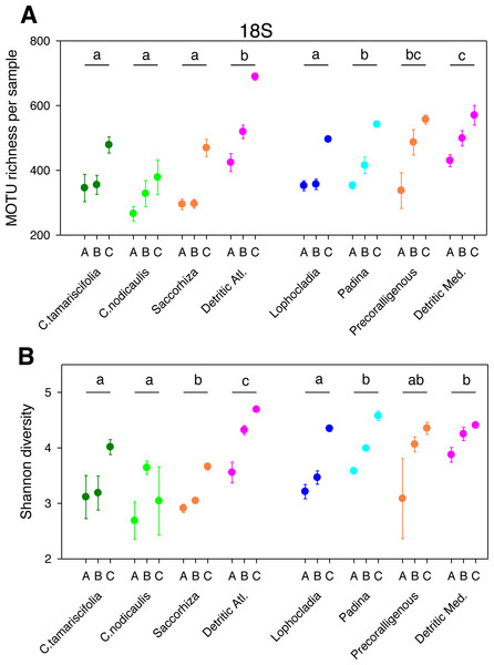 Scatter plots showing patterns of MOTU richness (A) and Shannon diversity index (B) for the 18S gene.