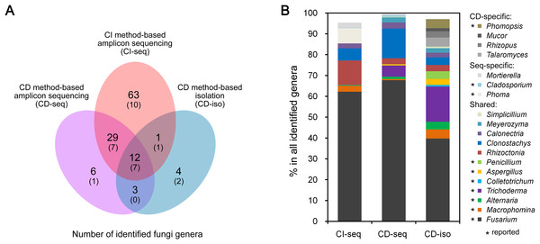 Root-associated endophytic fungi detected using three different methods.