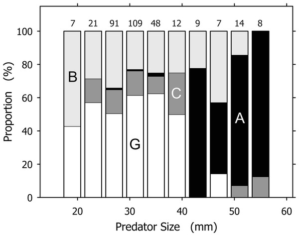 Prey spectra for size classes of Agaronia propatula.