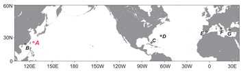 Haimormus shimojiensis, a new genus and species of Pseudozeuxidae ...