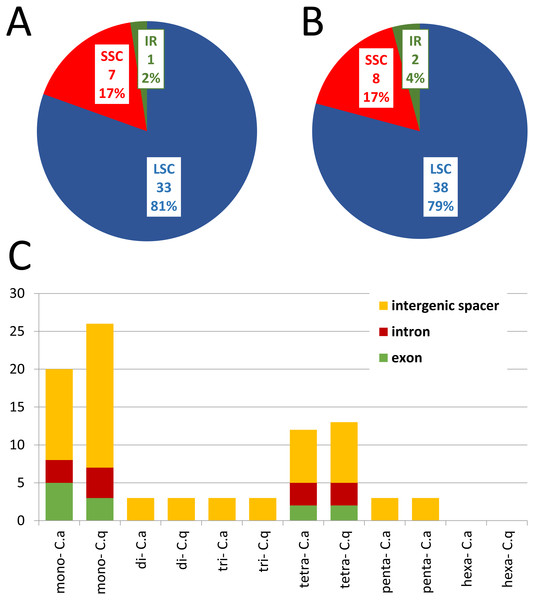 The distribution, type, and presence of SSRs in cp genome of Colobanthus apetalus and Colobanthus quitensis.