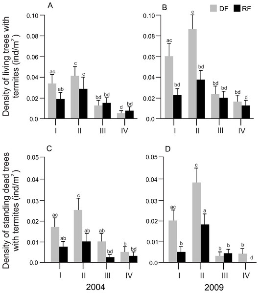 Distribution of the density of trees associated with termites in different diameter size classes in Chamela.