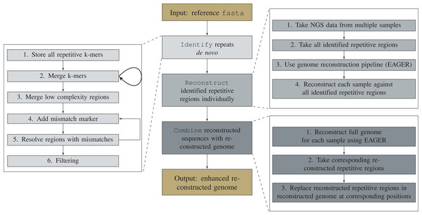 Workflow of the repeat reconstruction pipeline DACCOR.