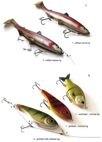  Lures and rigs used in the study.