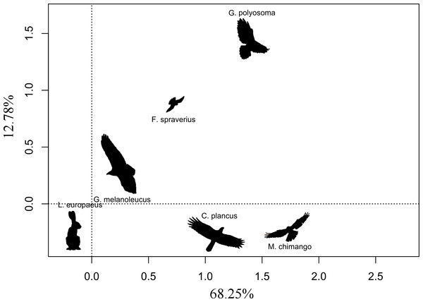 First two ordination axes form the correspondence analysis relating the abundances of the five raptor species and the abundance of European hare.
