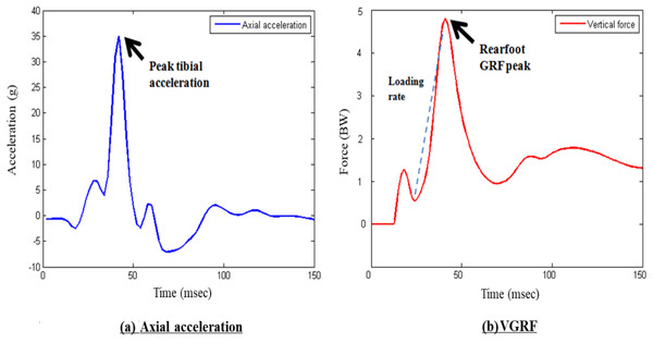 Sample curves of (A) tibial acceleration and (B) ground reaction force.