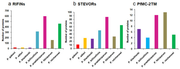 Distribution of RIFIN, STEVOR and PfMC-2TM orthologues in Plasmodium species.
